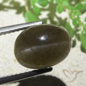 9,17 ctw natürlicher Mittel-Hellbraun Skapolith Katzenauge, Oval, Lichtdurchlässig