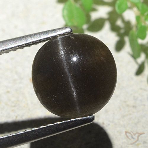 3.87ct Natürlicher dunkelbraun Skapolith Katzenauge, Runden, Lichtdurchlässig