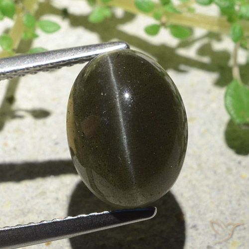 4,66 ctw natürlicher brauner Cat's Eye Scapolite, Oval Schliff, Lichtdurchlässig