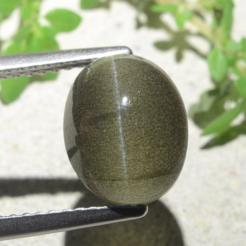 4,00 ctw natürlicher brauner Cat's Eye Scapolite, Oval Schliff, Lichtdurchlässig