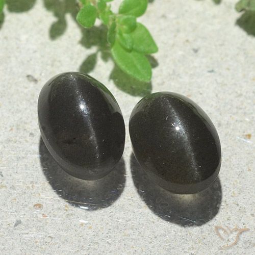 5.00ctw Natürlicher Schwarz Skapolith Katzenauge, Oval, Lichtdurchlässig