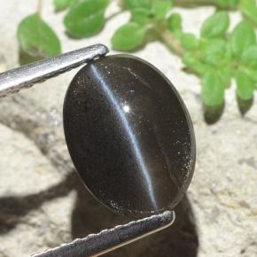 2,56 ctw natürlicher schwarzer Cat's Eye Scapolite, Oval Schliff, Lichtdurchlässig