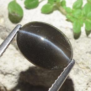 2,56 ctw natürlicher schwarzer Cat's Eye Scapolite, Oval Schliff, Lichtdurchlässig