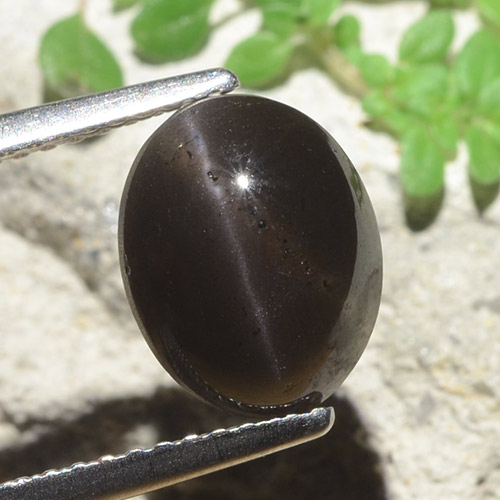 9,17 ctw natürlicher Schwarz Skapolith Katzenauge, Oval Schliff, Lichtdurchlässig