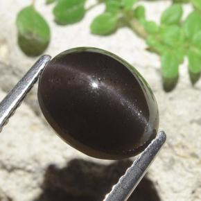 9,17 ctw natürlicher Schwarz Skapolith Katzenauge, Oval Schliff, Lichtdurchlässig