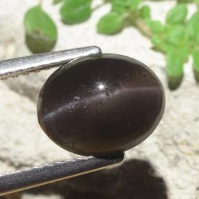 9,17 ctw natürlicher Schwarz Skapolith Katzenauge, Oval Schliff, Lichtdurchlässig