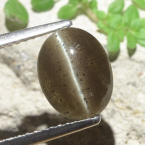 9,17 ctw natürlicher Mittel braun Skapolith Katzenauge, Oval Schliff, Lichtdurchlässig