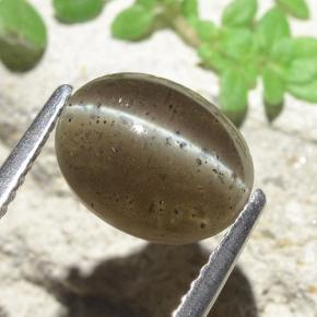 9,17 ctw natürlicher Mittel braun Skapolith Katzenauge, Oval Schliff, Lichtdurchlässig