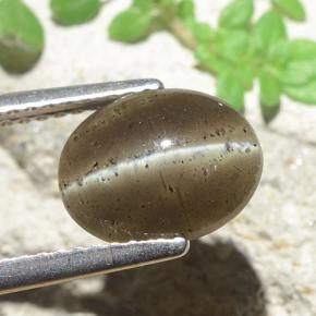 9,17 ctw natürlicher Mittel braun Skapolith Katzenauge, Oval Schliff, Lichtdurchlässig