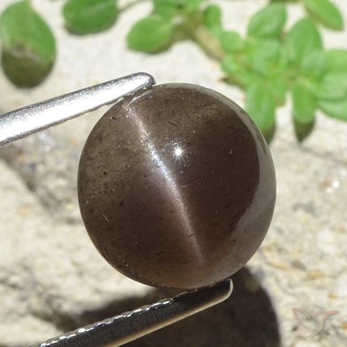3.45ct Natürlicher Umbrabraun Skapolith Katzenauge, Runden, Lichtdurchlässig