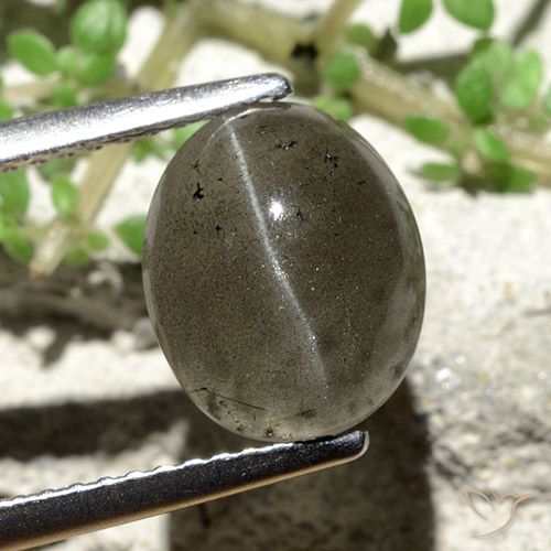 3.81ct Natürlicher dunkelgrau Skapolith Katzenauge, Oval, Lichtdurchlässig