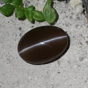 9,17 ctw natürlicher Braun Skapolith Katzenauge, Oval Schliff, Lichtdurchlässig