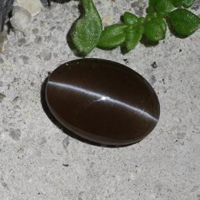 9,17 ctw natürlicher Braun Skapolith Katzenauge, Oval Schliff, Lichtdurchlässig