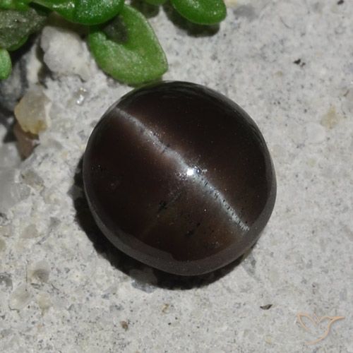 2.10ct Natürlicher Schokoladenbraun Skapolith Katzenauge, Runden, Lichtdurchlässig