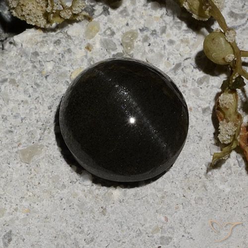2.12ct Natürlicher Schwarz Skapolith Katzenauge, Runden, Lichtdurchlässig
