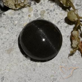9,17 ctw natürlicher Schwarz Skapolith Katzenauge, Runden, Lichtdurchlässig