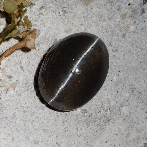 9,17 ctw natürlicher Schwarz Skapolith Katzenauge, Oval Schliff, Lichtdurchlässig