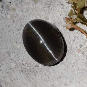 9,17 ctw natürlicher Schwarz Skapolith Katzenauge, Oval Schliff, Lichtdurchlässig