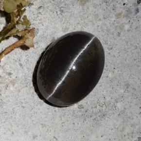 9,17 ctw natürlicher Schwarz Skapolith Katzenauge, Oval Schliff, Lichtdurchlässig