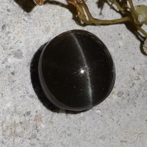 2.34ct Natürlicher Schwarz Skapolith Katzenauge, Runden, Lichtdurchlässig