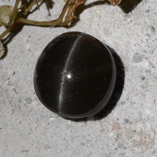 9,17 ctw natürlicher Schwarz Skapolith Katzenauge, Runden, Lichtdurchlässig