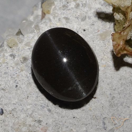 2.35ct Natürlicher Schwarz Skapolith Katzenauge, Oval, Lichtdurchlässig