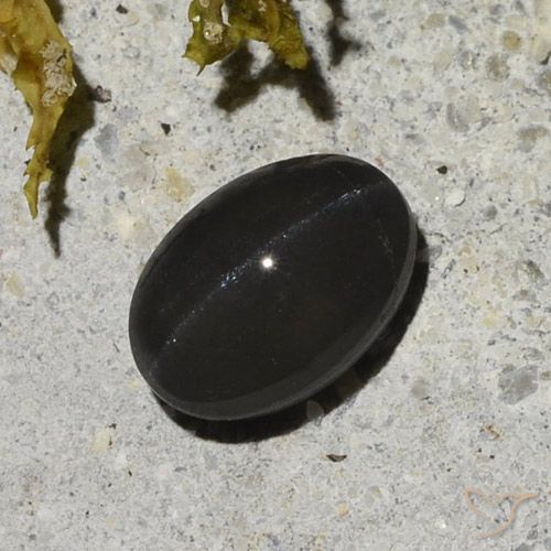1.48ct Natürlicher Schwarz Skapolith Katzenauge, Oval, Lichtdurchlässig
