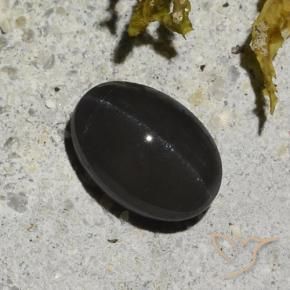 9,17 ctw natürlicher Schwarz Skapolith Katzenauge, Oval, Lichtdurchlässig