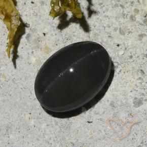 9,17 ctw natürlicher Schwarz Skapolith Katzenauge, Oval, Lichtdurchlässig