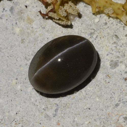 9,17 ctw natürlicher Warmes Schwarz Skapolith Katzenauge, Oval Schliff, Lichtdurchlässig