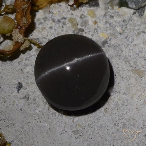 3.08ct Natürlicher Schwarz Skapolith Katzenauge, Runden, Lichtdurchlässig