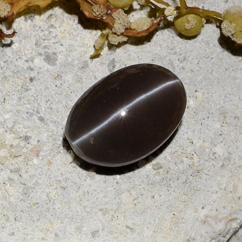 1.81ct Natürlicher dunkelbraun Skapolith Katzenauge, Oval, Lichtdurchlässig