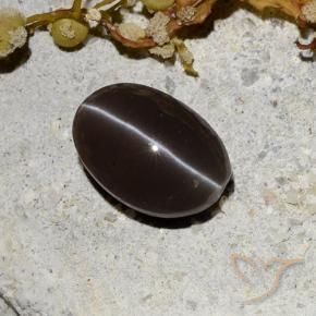 9,17 ctw natürlicher dunkelbraun Skapolith Katzenauge, Oval, Lichtdurchlässig