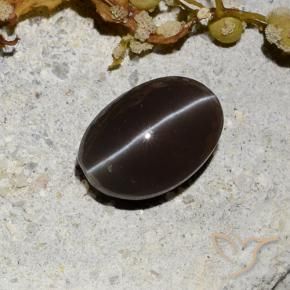 9,17 ctw natürlicher dunkelbraun Skapolith Katzenauge, Oval, Lichtdurchlässig