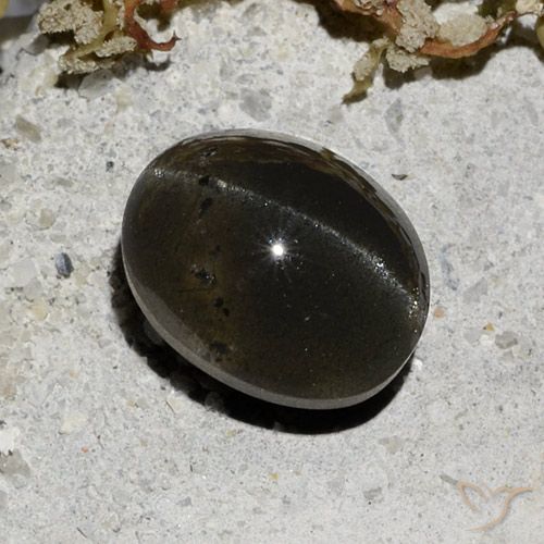 3.32ct Natürlicher Schwarz Skapolith Katzenauge, Oval, Lichtdurchlässig