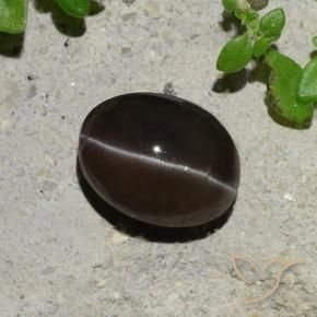 9,17 ctw natürlicher Schokoladenbraun Skapolith Katzenauge, Oval, Lichtdurchlässig