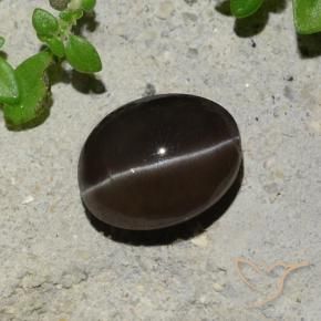 9,17 ctw natürlicher Schokoladenbraun Skapolith Katzenauge, Oval, Lichtdurchlässig