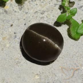 9,17 ctw natürlicher Schwarzbraun Skapolith Katzenauge, Oval, Lichtdurchlässig