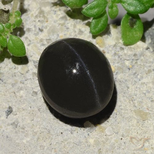 2.94ct Natürlicher Schwarz Skapolith Katzenauge, Oval, Lichtdurchlässig