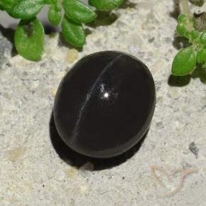 9,17 ctw natürlicher Schwarz Skapolith Katzenauge, Oval, Lichtdurchlässig
