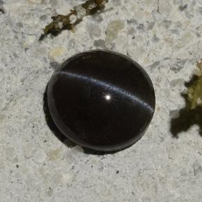 1,14 ctw natürlicher schwarzer Cat's Eye Scapolite, Oval Schliff, Lichtdurchlässig