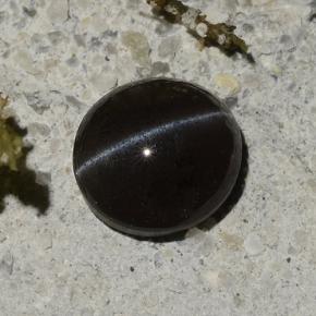 1,14 ctw natürlicher schwarzer Cat's Eye Scapolite, Oval Schliff, Lichtdurchlässig