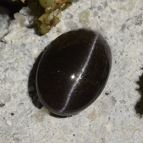 1,47 ctw natürlicher schwarzer Cat's Eye Scapolite, Oval Schliff, Lichtdurchlässig