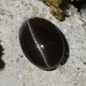 1,47 ctw natürlicher schwarzer Cat's Eye Scapolite, Oval Schliff, Lichtdurchlässig
