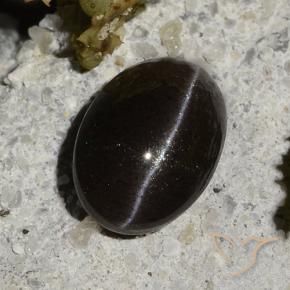 1,47 ctw natürlicher schwarzer Cat's Eye Scapolite, Oval Schliff, Lichtdurchlässig