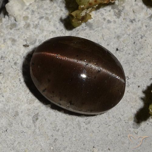 2,44 ctw natürlicher brauner Cat's Eye Scapolite, Oval Schliff, Lichtdurchlässig