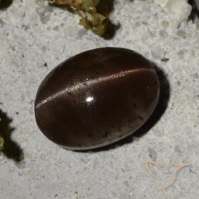 2,44 ctw natürlicher brauner Cat's Eye Scapolite, Oval Schliff, Lichtdurchlässig