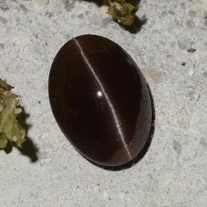 2,16 ctw natürlicher brauner Cat's Eye Scapolite, Oval Schliff, Lichtdurchlässig