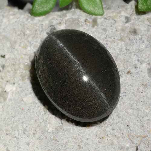 2.15ct Natürlicher Schwarz Skapolith Katzenauge, Oval, Lichtdurchlässig