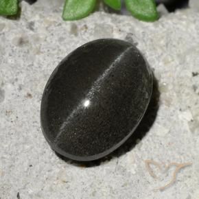 9,17 ctw natürlicher Schwarz Skapolith Katzenauge, Oval, Lichtdurchlässig